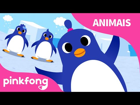 A Dança Do Pinguim Canções De Animais Pinkfong Canções Para Crianças