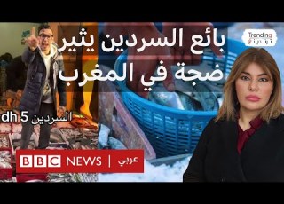 بائع السردين بخمسة دراهم في المغرب يفضح احتكار سوق الأسماك ما قصة مول الحوت