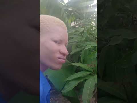 HUYU NI NANI Episode 35