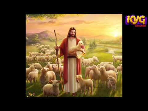 اين ترعى قداسة البابا شنودة الثالث