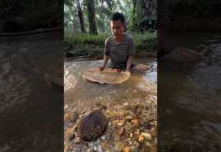 TRADITIONAL GOLD PANNING Shorts Shortvideo Goldmine Goldpanning TRADITIONAL GOLD PANNING Shorts Shortvideo Goldmine Goldpanning