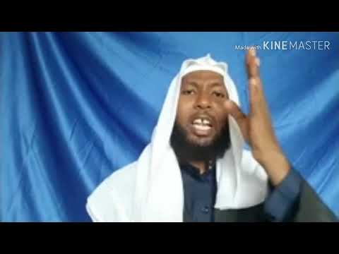 Seenaa Abubakarsiddiiq Kuta 1ffaa