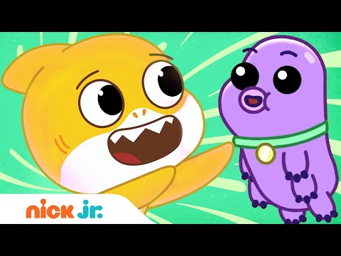 Baby Shark Gets A NEW Pet Baby Shark S Big Show Nick Jr