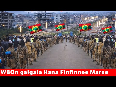 ODUU Bitootessa 16 2026 Waraanni Bilisummaa Oromoo Finfinnee Marsuu Hime Oolmaa Oromiyaa