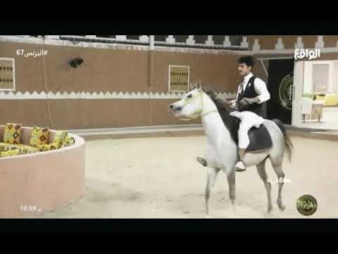 انا فرس ومعرب ساس الفرس السهول خالدالسهلي