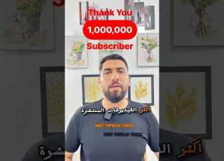 ماقصة الزرافة يلي غرقت بنهر النيل ابلور Trending Funny Shortvideo Song Shorts Short
