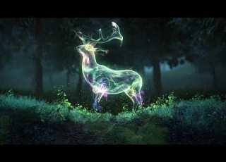 Animals Soul Intro Template Without Text Free Download Intro No Text No Copyright