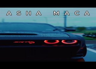 ASHA MACA 𝕋ℍ𝔼 𝔸ℕ𝔾𝔼ℝ 𝕀ℕ 𝕐𝕆𝕌ℝ 𝔼𝕐𝔼𝕊 ULTRA SLOWED