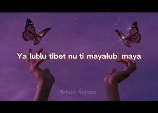 Neywein завяла роза Maya Mila Milaya Kolay Okunuşu