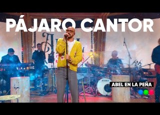  PAJARO CANTOR ABEL PINTOS