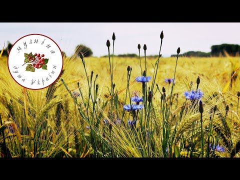 Волошки Українська музика Українські пісні Волошки Українська музика Українські пісні