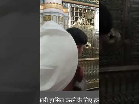 Har Bo Shakhas Iman Wala Hai Shortvideo Motivation Islamicstatuse2025 Youtubeshorts Todaynewsta