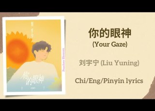 你的眼神 Your Gaze 刘宇宁 Liu Yuning 单曲 Single Chi Eng Pinyin Lyrics