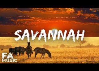  Kygo Style Savannah Diviners Ft Philly K