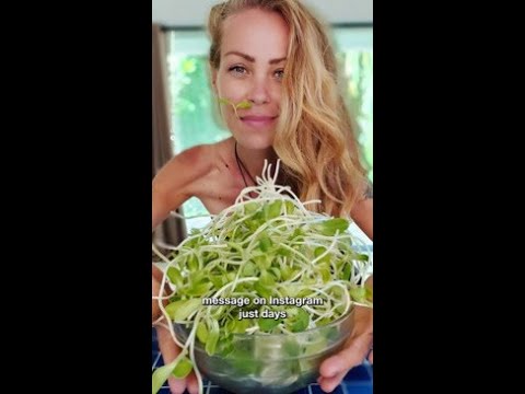 Popular Vegan Influencer Dies Of Starvation