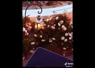 حلوا دنيا سوا