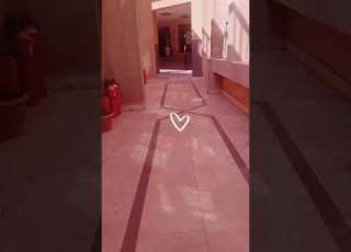  كليه تجاره جامعه الازهر مين فيها