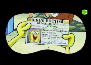 سبونج بوب سعيد بحصوله على رخصة القيادة