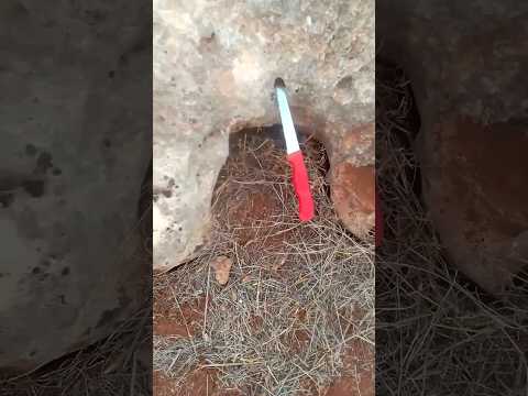 إشارة مربع دليل غرفة مدفنية أسفل الصخرة إشارة مربع دليل غرفة مدفنية أسفل الصخرة