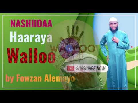 Nashiidaa Haaraya Walloof Haa Dirmannu Jettu Fowzan Alemayo Tiin