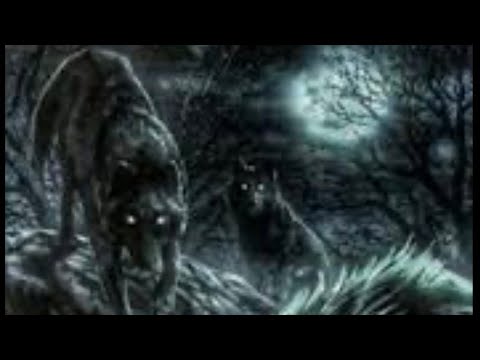 99 قصة راعي الأبل مع ذيابة ام العظام من القصص المرعبة 99 قصة راعي الأبل مع ذيابة ام العظام من القصص المرعبة