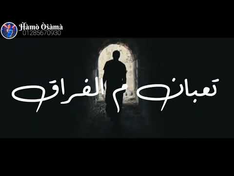 حالات واتس اغنية أمتي احمد شيبة واوكا واورتيجا