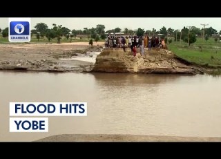 Flood Hits Gasamu Gashua LGAs Victims Cry Out For Help