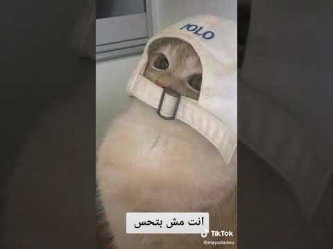 طقطقة على اسمك و جونغكوك