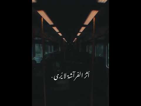 ممنون بن كلثوم اثر الفراشة لا ي ري وانت فراشة