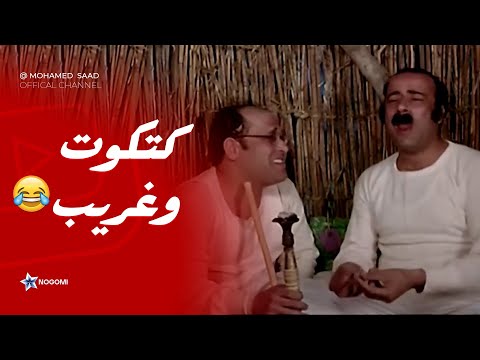 كتكوت ابو الليل لما تتناقش مع صاحبك الغبي شوف كتكوت عمل ايه مع غريب كتكوت ابو الليل لما تتناقش مع صاحبك الغبي شوف كتكوت عمل ايه مع غريب