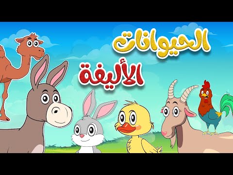 أنشودة الحيوانات الأليفة 2 أناشيد وأغاني أطفال باللغة العربية