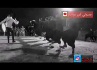 احلى دبكه على نغمه يادنيا دواره منوعات الشمري