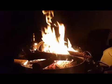 يا خوي ليت اليالي على الكيف