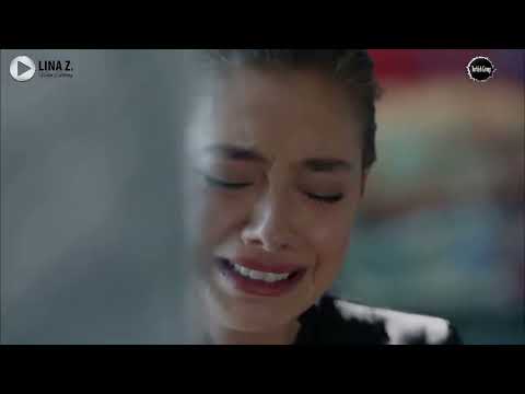 معقول نتقابل تاني هاني شاكر كمال و نيهان