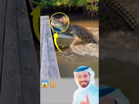 في أقسى لحظاتك حين تشعر أن كل شيء ضدك وأنك وحدك في هذا الظلام اكسبلور لايك Shorts