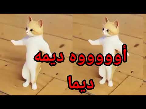 اغنية باسم ديما اغنية ديمة ديمه ديما السعودية الكويت العراق تركيا قطر لبحرين الجزائر جده دبي الرياض