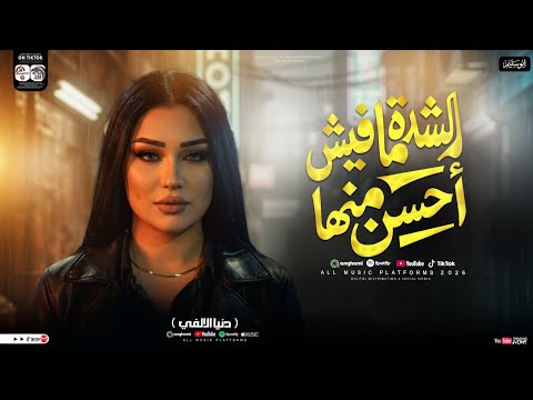 الشده مافيش احسن منها قول لما تشوفني مشاء الله دنيا الالفي شعبي حظ جديد 2026