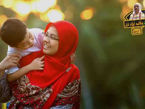 اغنية كامل قالو لما الحنانة راني مغبون