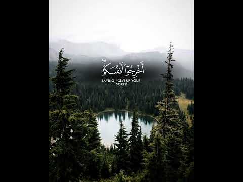 ولو ترى إذ الظالمون في غمرات الموت والملائكة باسطو أيديهم أخرجوا الأنعام ٩٣ قرآن