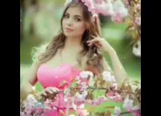 Збірка весільних пісень Гурт Зоряна Ніч