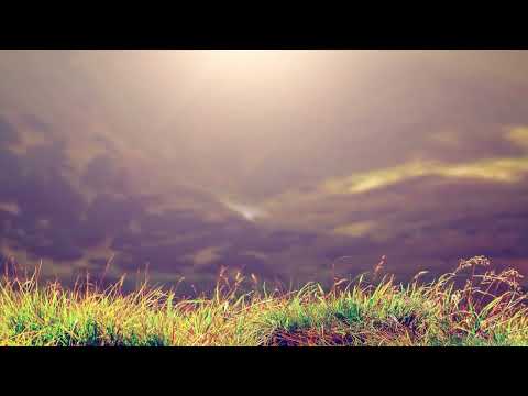 موسيقى صباحية اذاعه راديو خلفية مسابقات