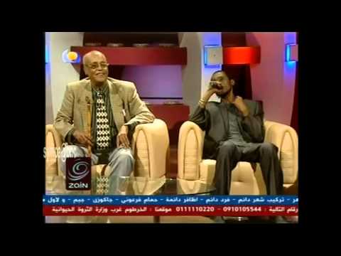 أغاني وأغاني 2013 الحلقة 4 مشاركات الفنان محمود عبدالعزيز في البرنامج