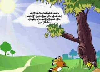  حيوانات ورد ذكرها في القرآن الهدهد