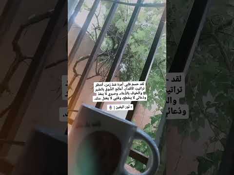 يارب توفيقك في البكالوريا فراشة وزهرة بصوت عبير نعمة بدون موسيقى