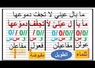  الخرم في بحر الطويل