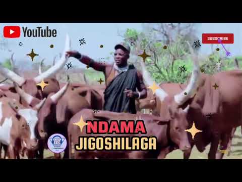 NDAMA JIGOSHILAGA UJUMBE WA BHAFUMU Official Music Audio Mbasha Studio Msambazaji Yohana Studio 9 12