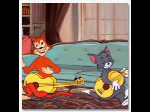 قولي متى اشوفك ياكامل وصوفك Tell Me When I See You