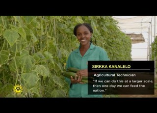 Agricultural Technician Profile Sirkka Kanalelo Live Your Passion S2 Ep 13
