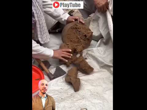 بيع الحشيش في أفغانستان Challenge Music Duo تيك توك امطار اكسبلور دويتو بيع الحشيش في أفغانستان Challenge Music Duo تيك توك امطار اكسبلور دويتو