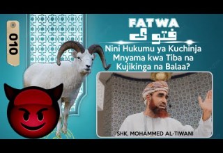 FATWA Nini Hukumu Ya Kuchinja Mnyama Kwa Tiba Na Kujikinga Na Balaa Sheikh Mohammed Tiwany